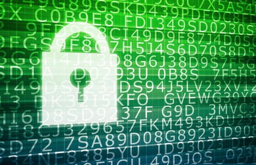 軟件開發與網絡安全 轉型、差旅與專業融合之路