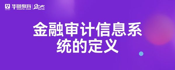 金融審計信息系統的定義及其與網絡信息安全軟件開發的關系